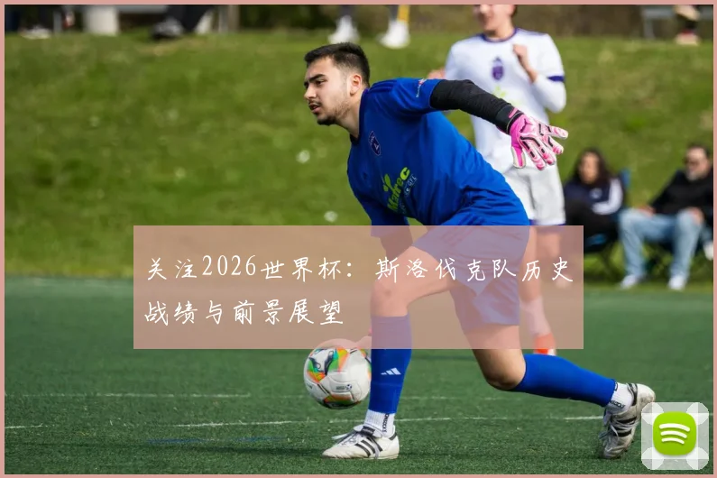 关注2026世界杯：斯洛伐克队历史战绩与前景展望