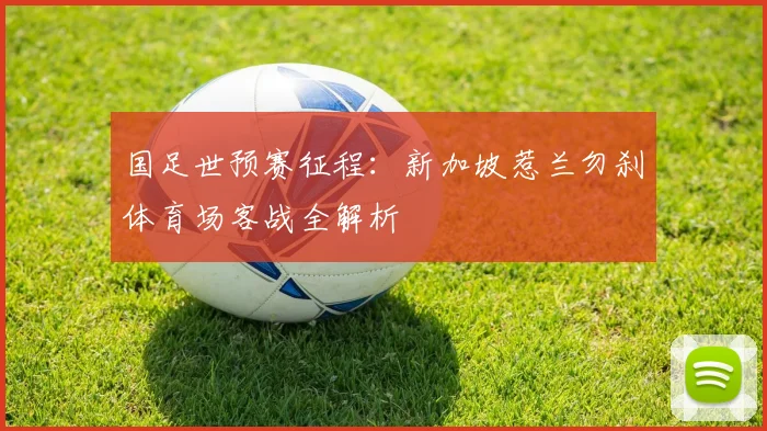 国足世预赛征程:新加坡惹兰勿刹体育场客战全解析